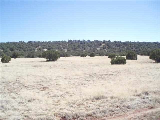 139 Idlewild Ranch Show Low, AZ 85901 - Photo 7 of 13
