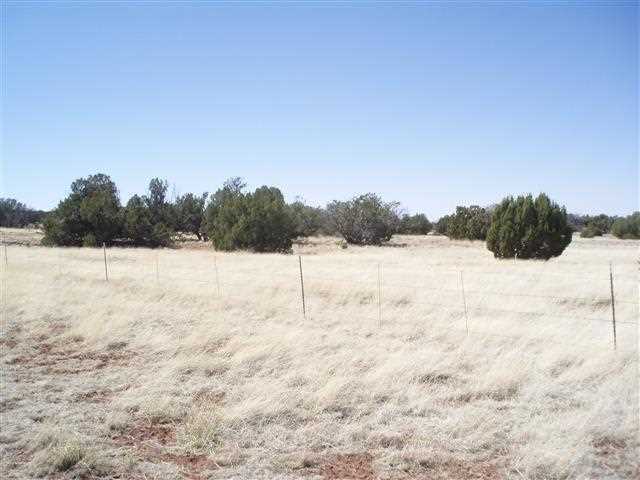 139 Idlewild Ranch Show Low, AZ 85901 - Photo 8 of 13