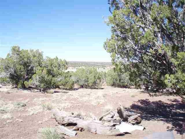139 Idlewild Ranch Show Low, AZ 85901 - Photo 9 of 13