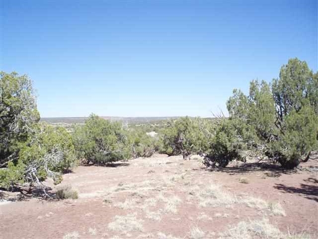139 Idlewild Ranch Show Low, AZ 85901 - Photo 10 of 13