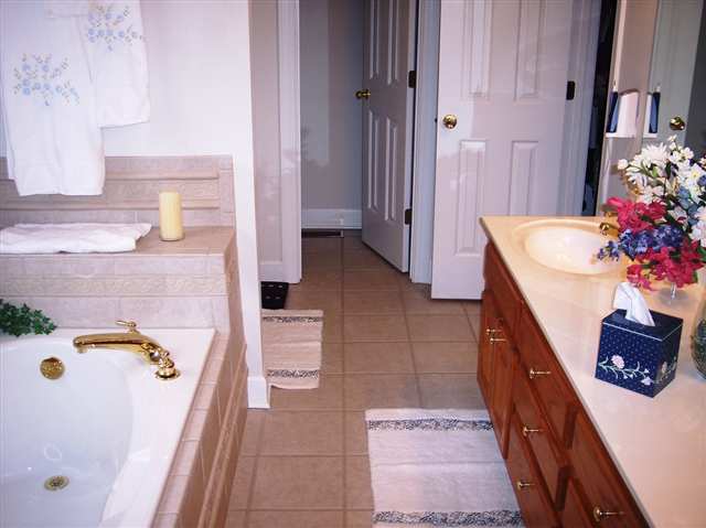 505 Spring Point Court Simpsonville, SC 29681 - Photo 8 of 16 Gallery Image 8