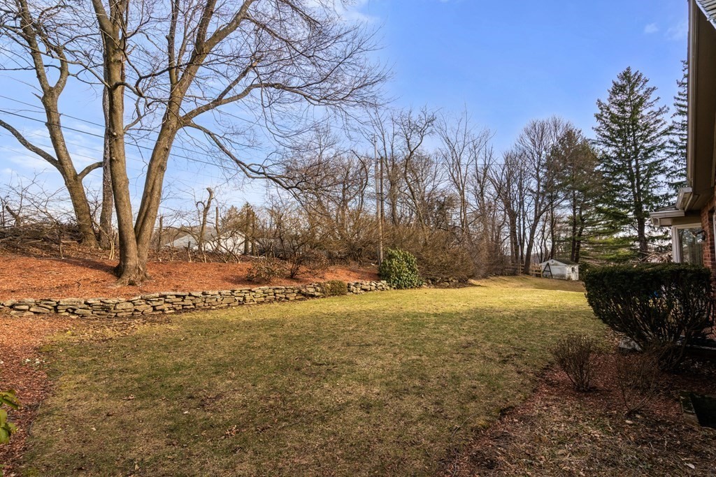 30 Terrace Drive Worcester, MA 01609 - Photo 38 of 39 a view of large trees with yard