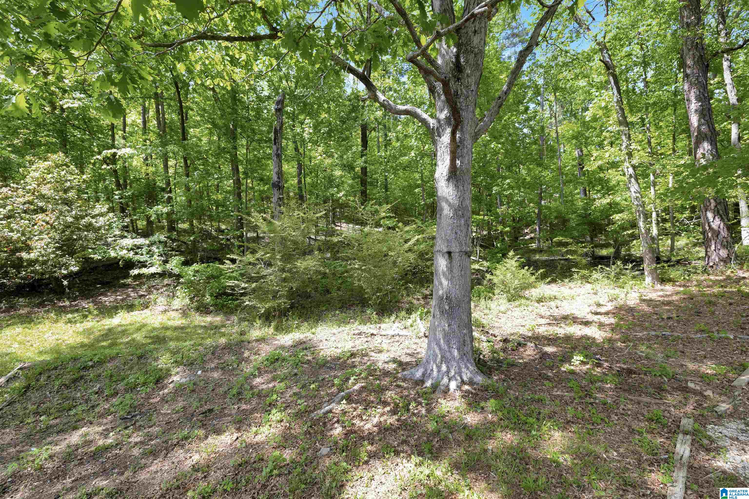 1055 County Road 72 Pelham, AL 35124 - Photo 37 of 38