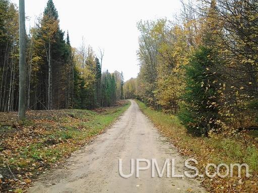 Tbd Whitefish Road Chatham, MI 49816 - Photo 17 of 30