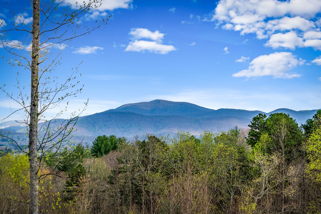 79 Winding Ridge Blairsville, GA 30512 - Photo 42 of 89
