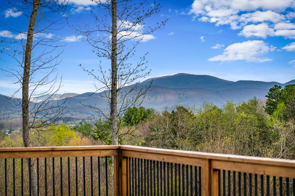 79 Winding Ridge Blairsville, GA 30512 - Photo 49 of 89