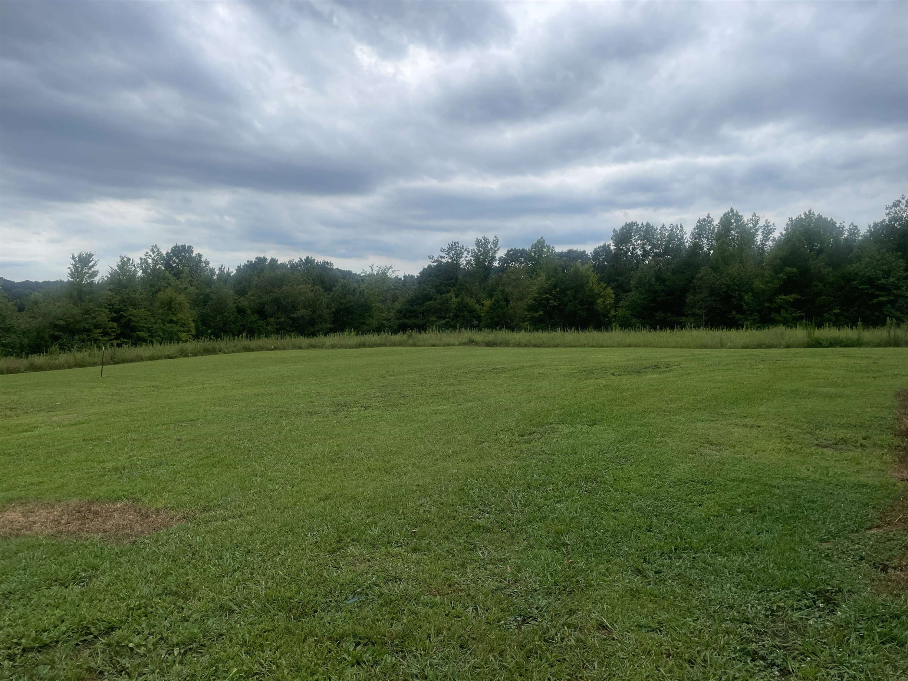 1175 Lott Road Henderson, TN 38340 - Photo 17 of 22 a view of outdoor space with field and trees in the background