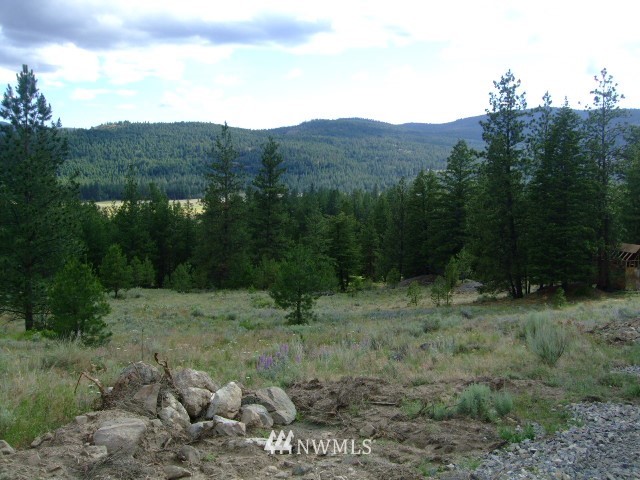 123-tbd Main Road Tonasket, WA 98855 - Photo 1 of 11