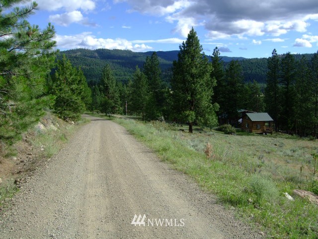 123-tbd Main Road Tonasket, WA 98855 - Photo 2 of 11