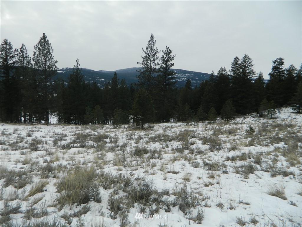 123-tbd Main Road Tonasket, WA 98855 - Photo 11 of 11