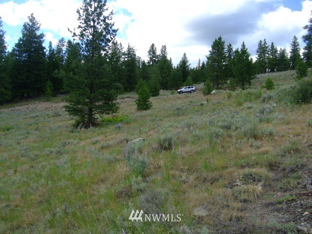 123-tbd Main Road Tonasket, WA 98855 - Photo 3 of 11