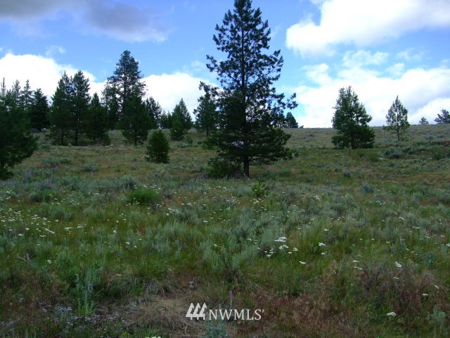 123-tbd Main Road Tonasket, WA 98855 - Photo 4 of 11