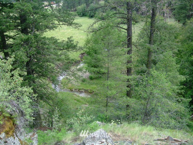 123-tbd Main Road Tonasket, WA 98855 - Photo 5 of 11
