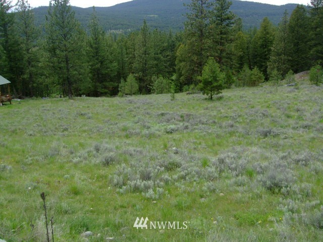 123-tbd Main Road Tonasket, WA 98855 - Photo 6 of 11