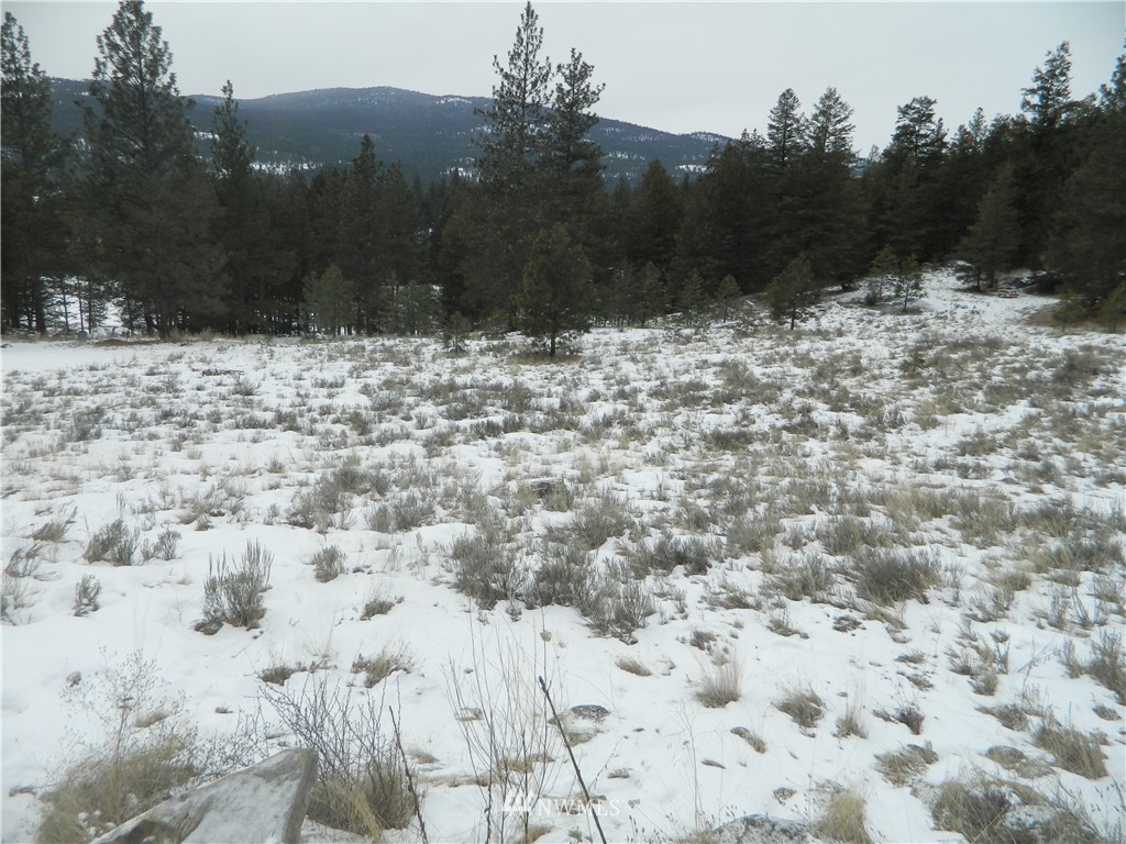 123-tbd Main Road Tonasket, WA 98855 - Photo 7 of 11