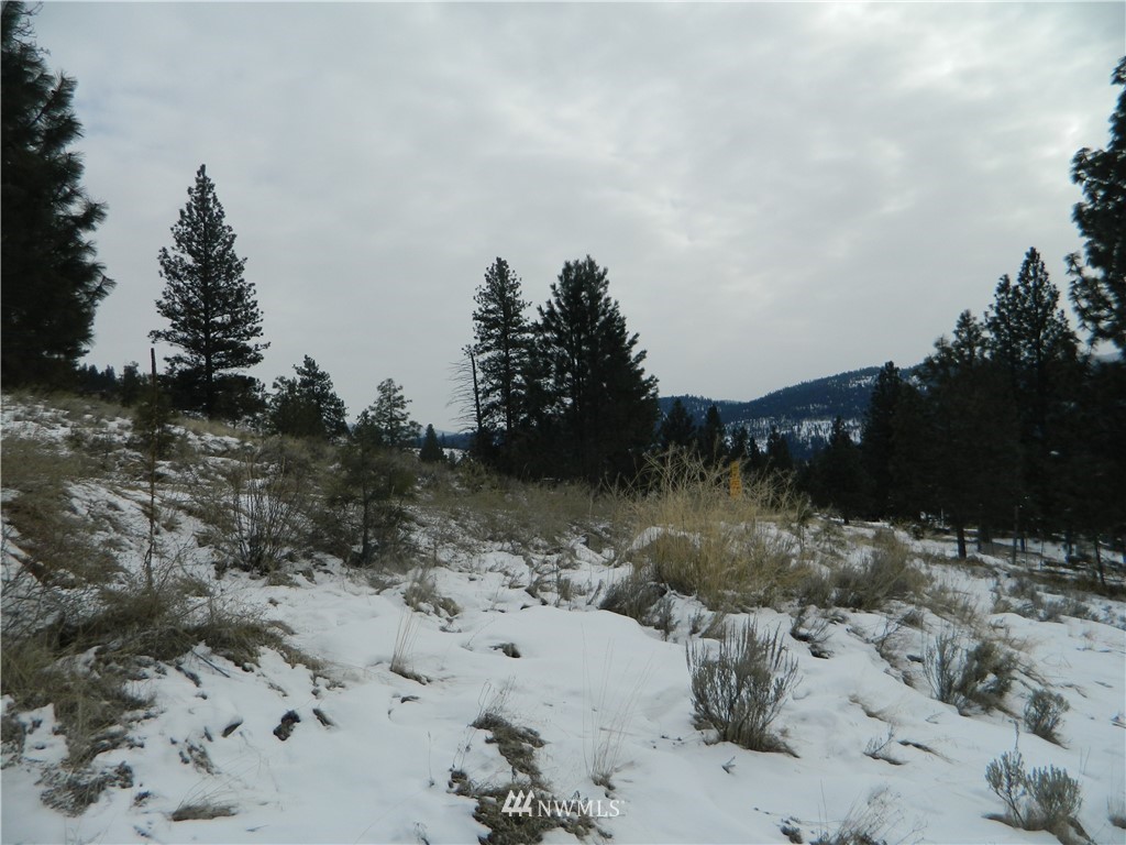 123-tbd Main Road Tonasket, WA 98855 - Photo 8 of 11