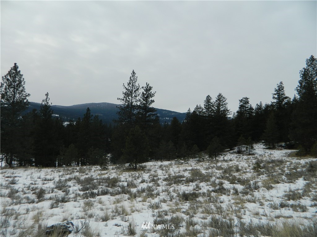 123-tbd Main Road Tonasket, WA 98855 - Photo 9 of 11