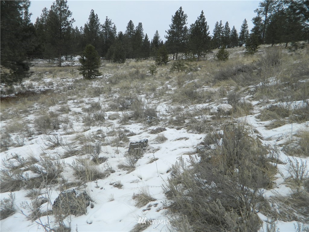 123-tbd Main Road Tonasket, WA 98855 - Photo 10 of 11