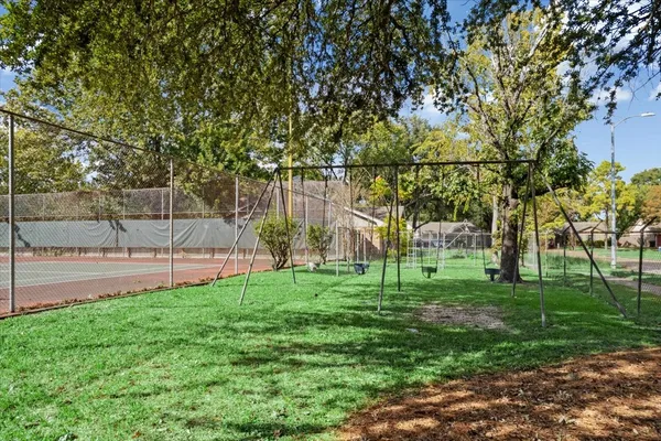 a view of a park with a tree