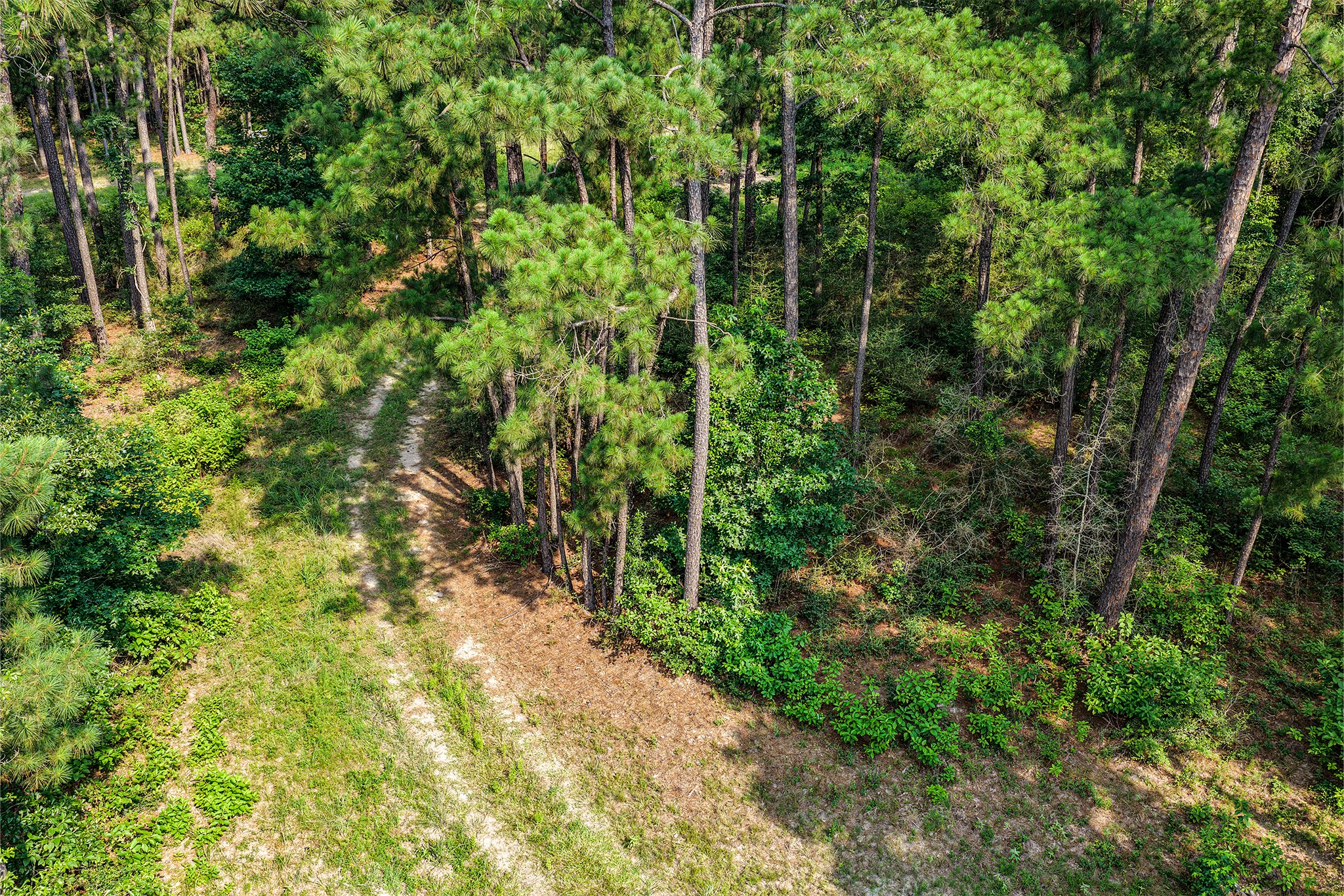 96 B John Kay Road Huntsville, TX 77320 - Photo 49 of 50