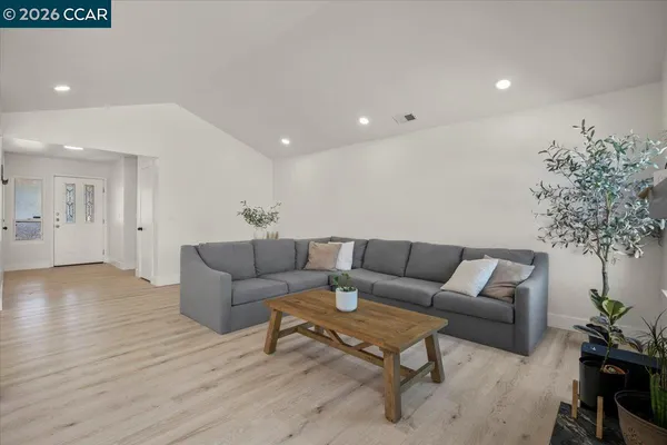 a living room with furniture and a potted plant