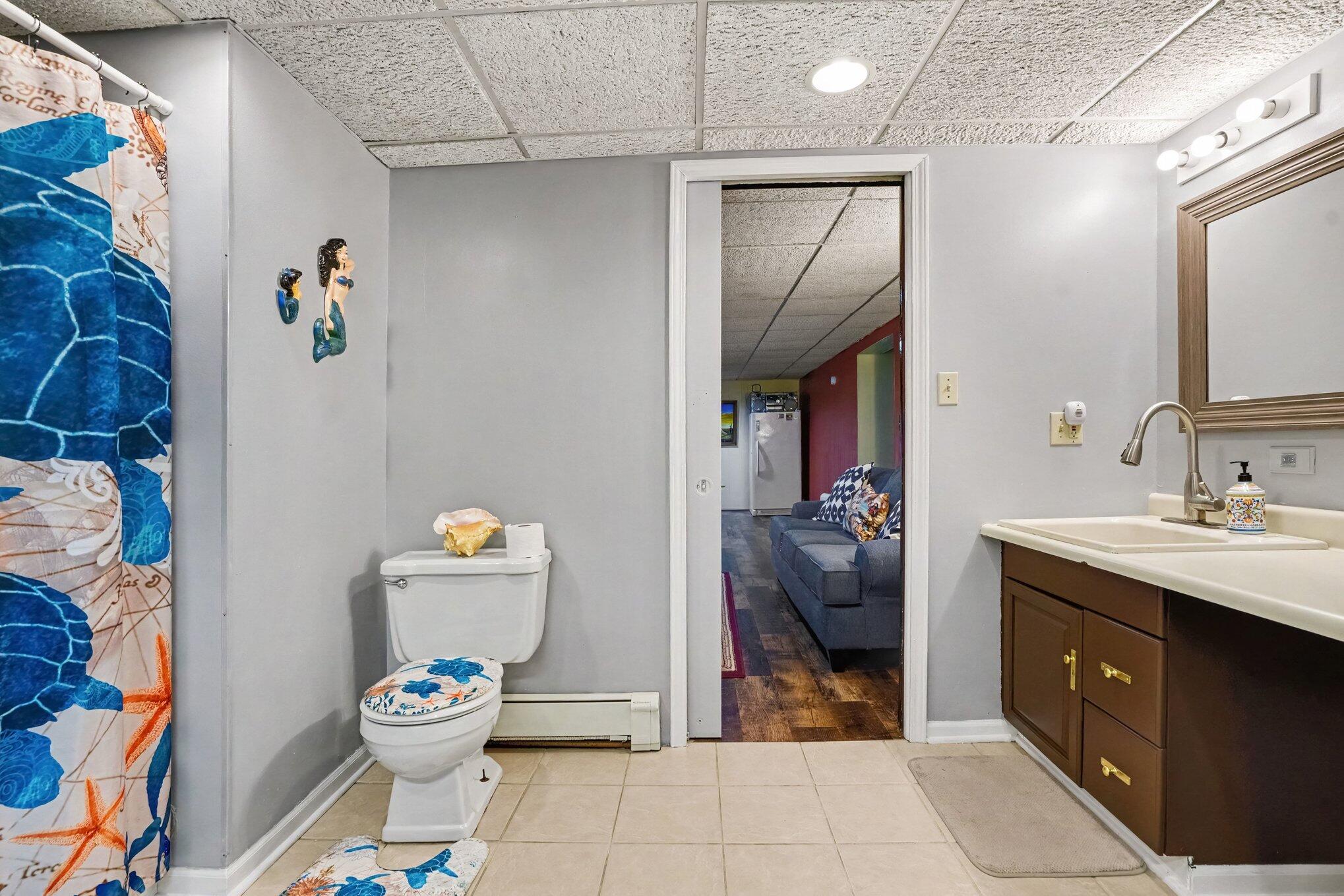 5953 Pokagon Road Berrien Springs, MI 49103 - Photo 24 of 38 Lower Level Bath