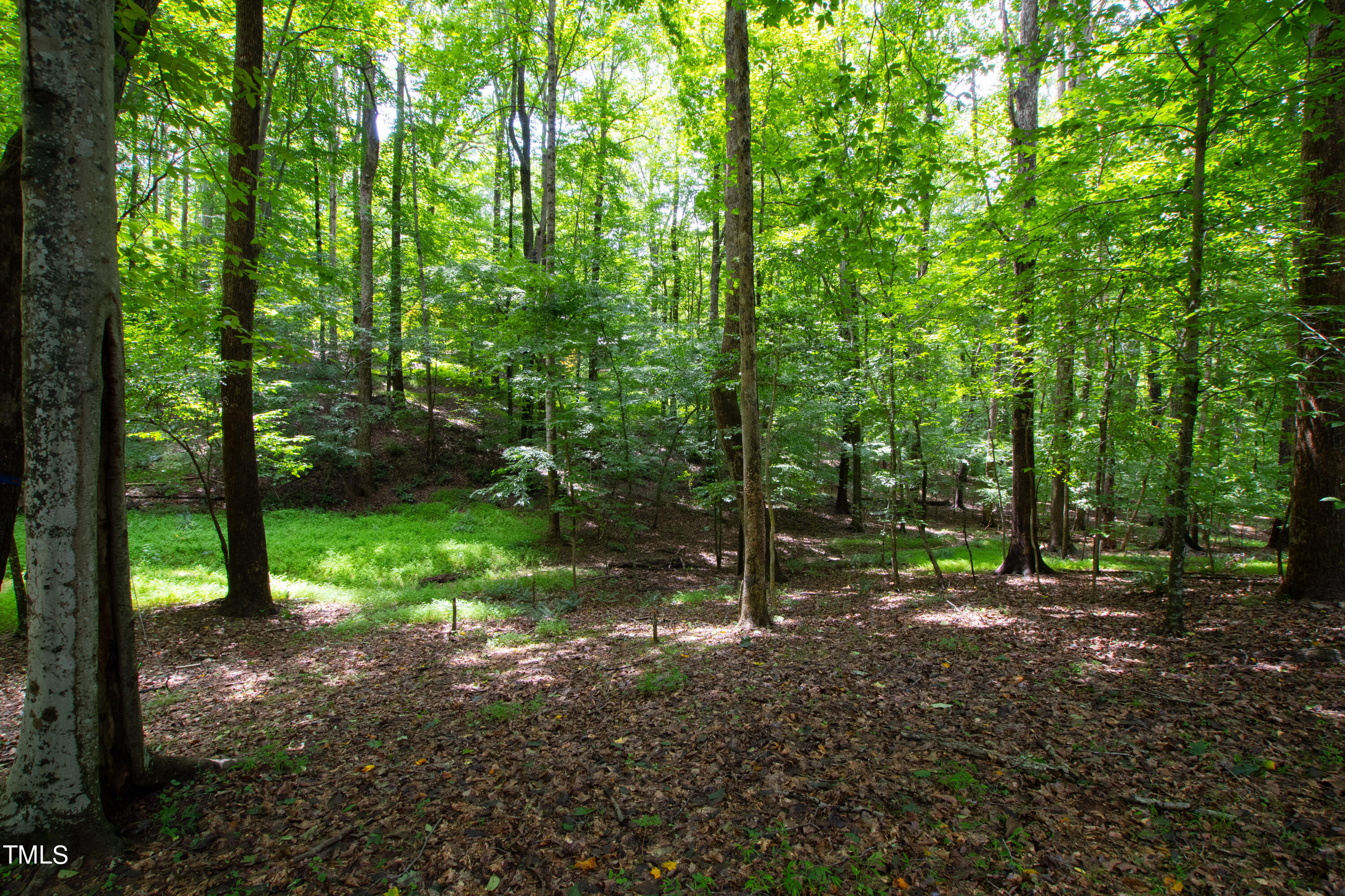 3405 Stallion Court Raleigh, NC 27613 - Photo 51 of 55 a view of outdoor space and trees
