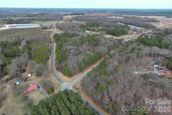 a view of a lot of trees and bushes