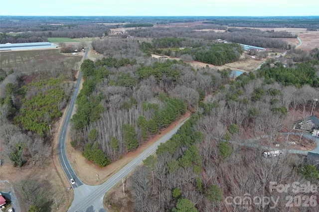 a view of a lot of trees and bushes