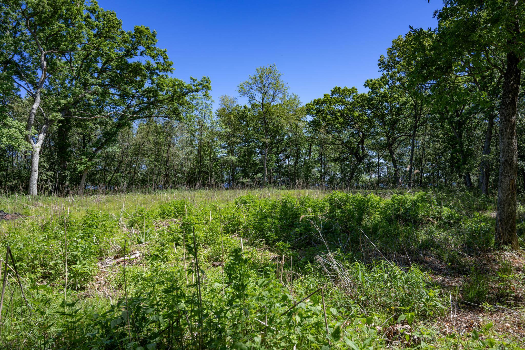 N14672 Porter Road Nekoosa, WI 54457 - Photo 27 of 51