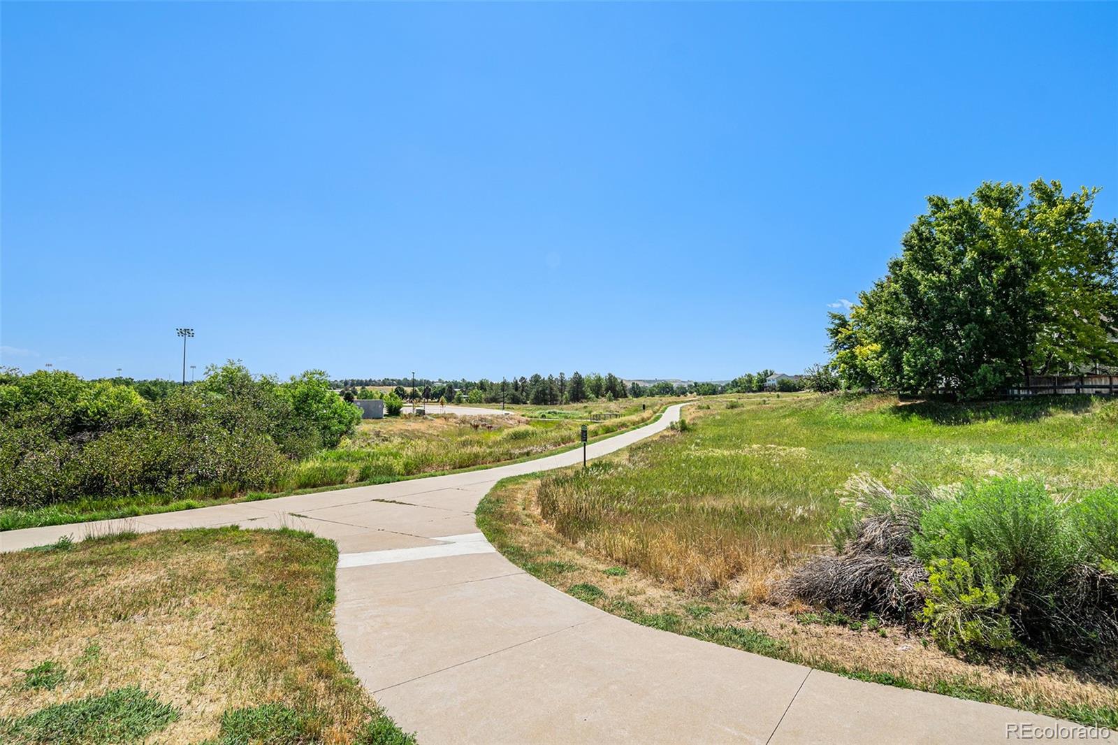5253 Wangaratta Way Highlands Ranch, CO 80130 - Photo 41 of 43 a view of a swimming pool with a yard