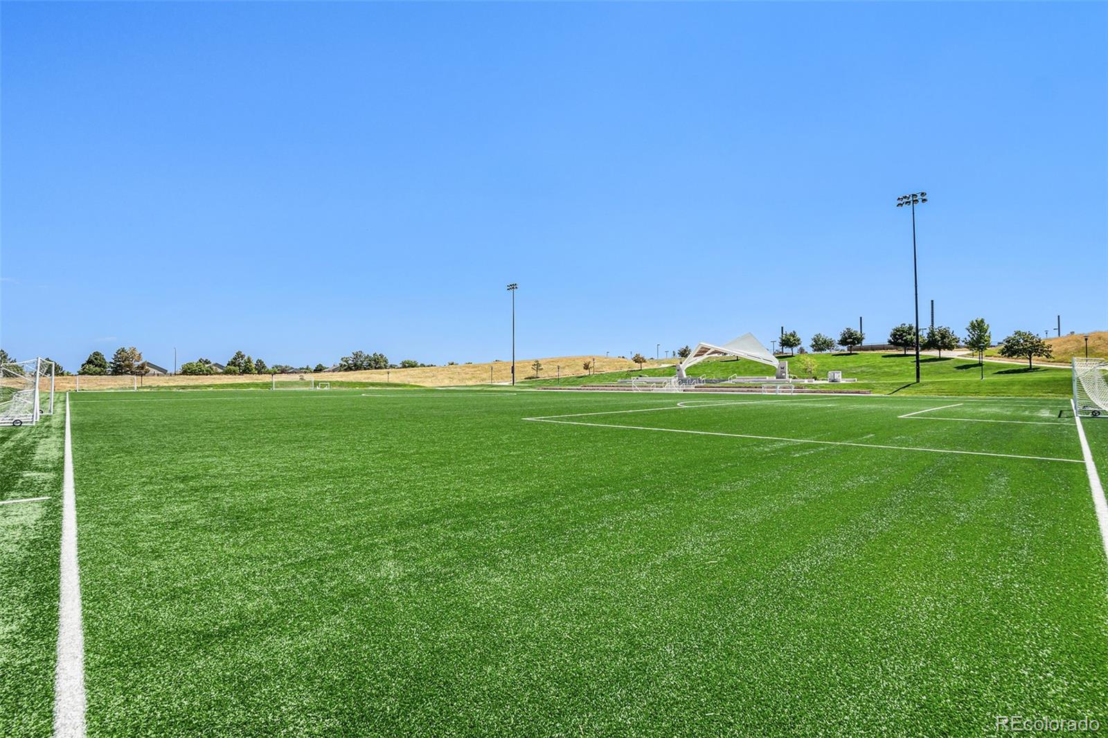 5253 Wangaratta Way Highlands Ranch, CO 80130 - Photo 43 of 43 a yard with lots of green space