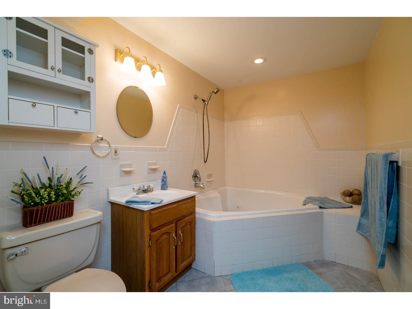 48 Mill Road Glen Mills, PA 19342 - Photo 24 of 25 Bathroom