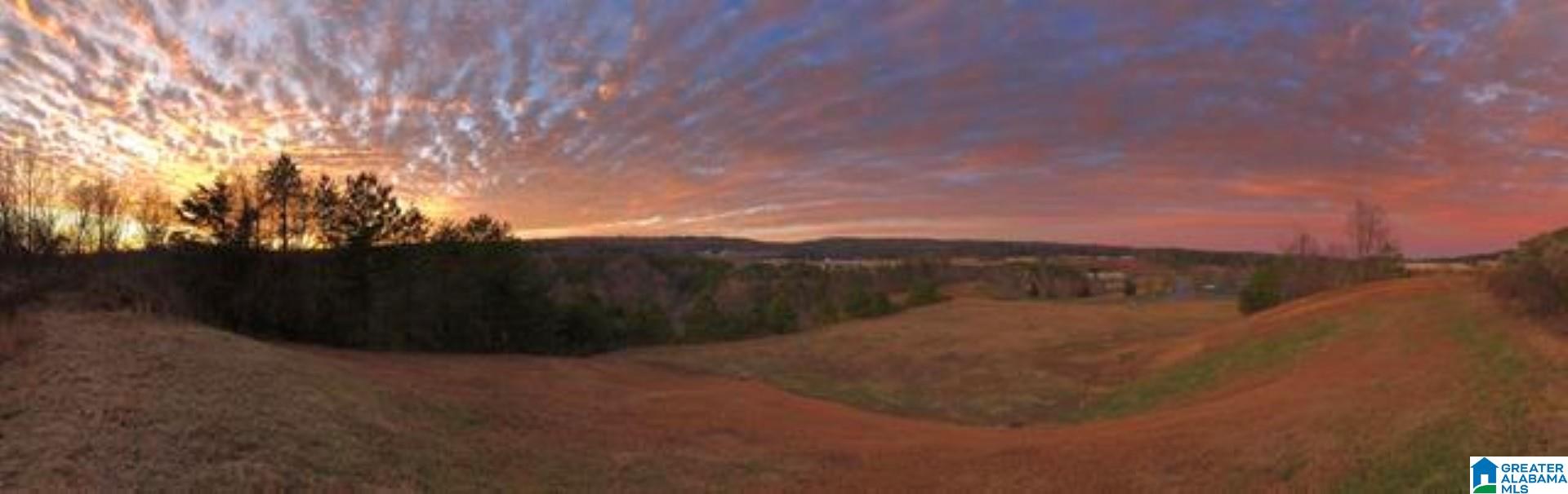5645 Hampton Road Birmingham, AL 35210 - Photo 45 of 46