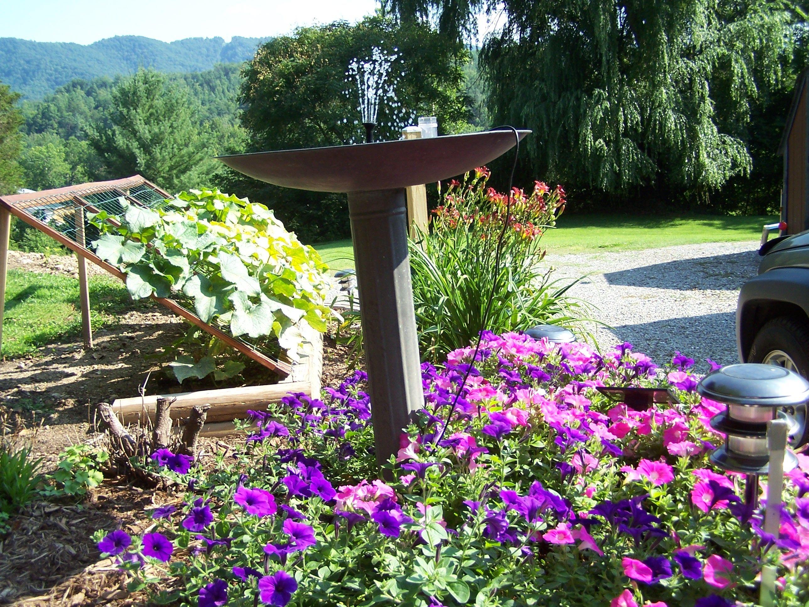 5512 Yellow Mountain Road Roanoke, VA 24014 - Photo 2 of 21 Flower bed by steps.jpg