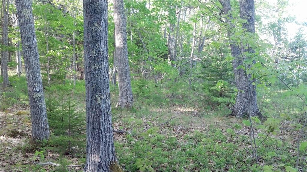 176 Pleasant Point Road Cushing, ME 04563 - Photo 31 of 32 Photo