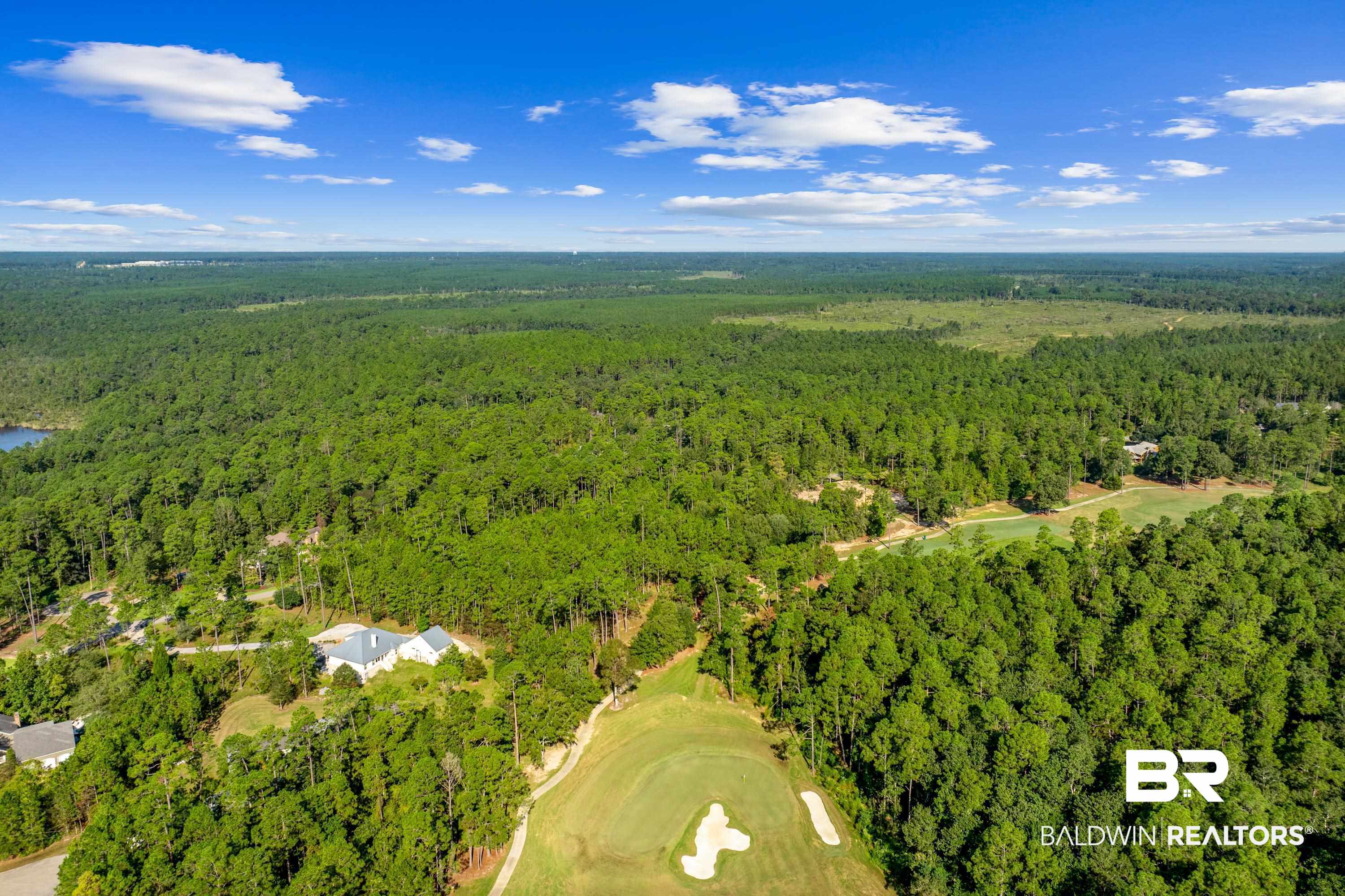 Lot 16 Steelwood Ridge Road Loxley, AL 36551 - Photo 16 of 19