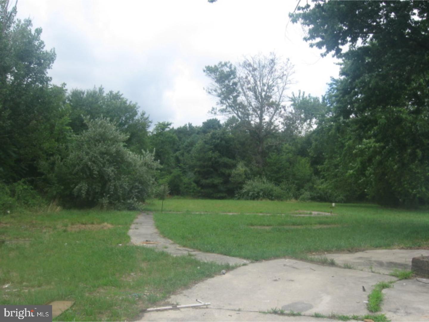 245 Vineyard Road Atco, NJ 08004 - Photo 4 of 7 Back Yard