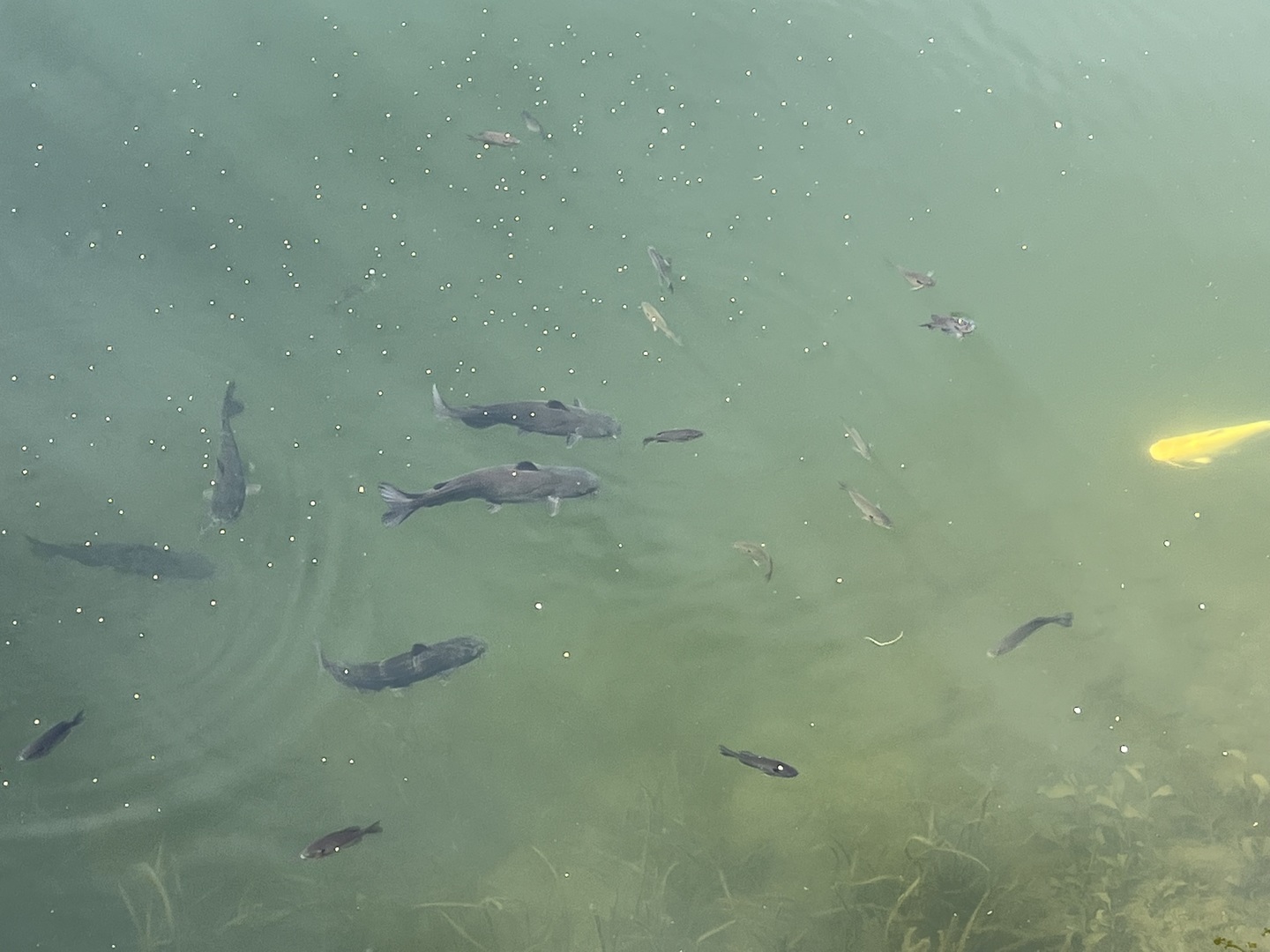 119 Tully Road Wilmington, IL 60481 - Photo 32 of 33