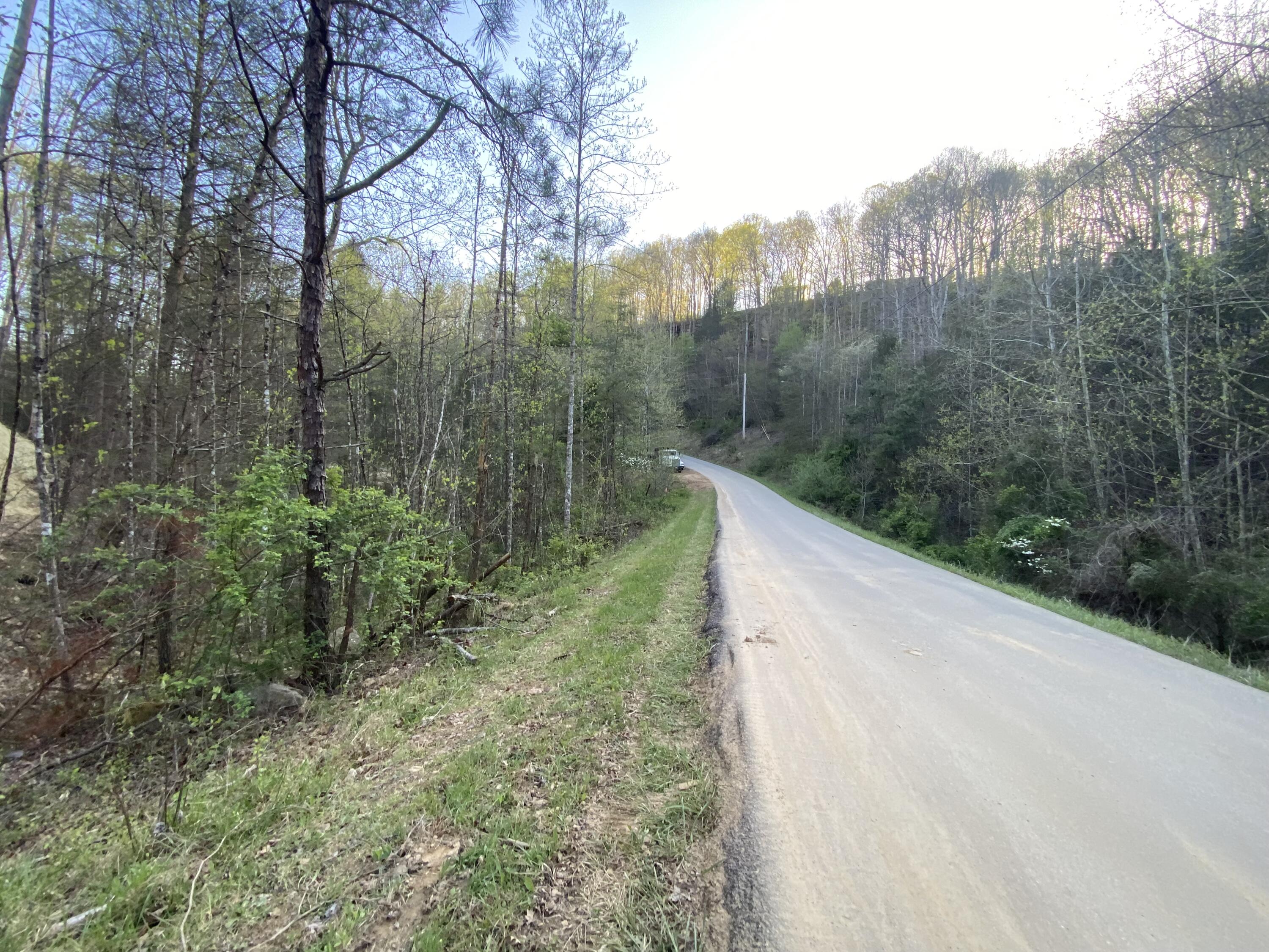 411 Cliffs Edge Road East Bernstadt, KY 40729 - Photo 6 of 23 IMG_4926