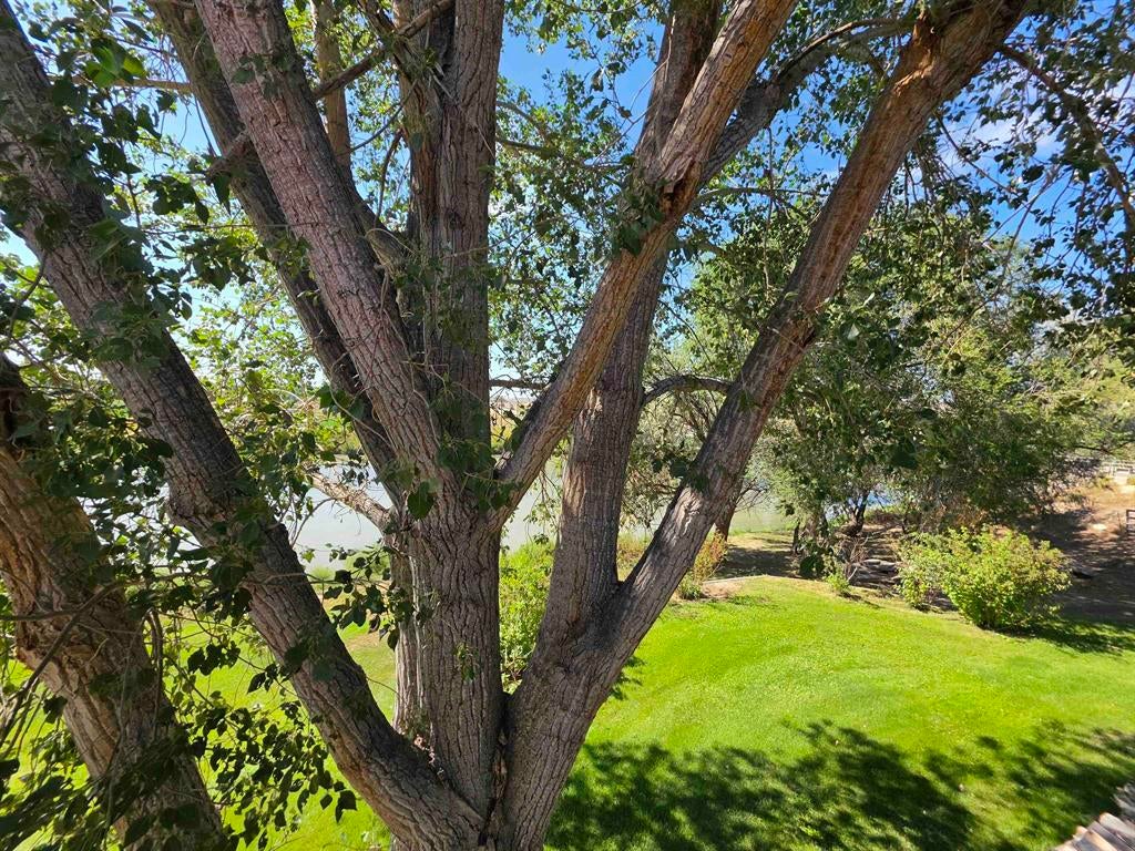 2162 South Flat Road Worland, WY 82401 - Photo 18 of 49 Gallery Image 18