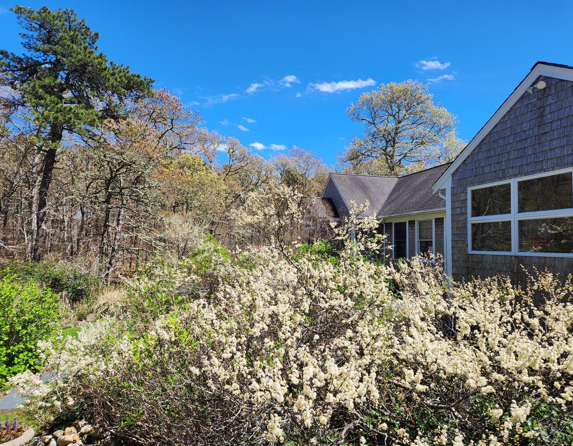 988 Crowells Bog Road Brewster, MA 02631 - Photo 71 of 92 Resized_20240510_140451
