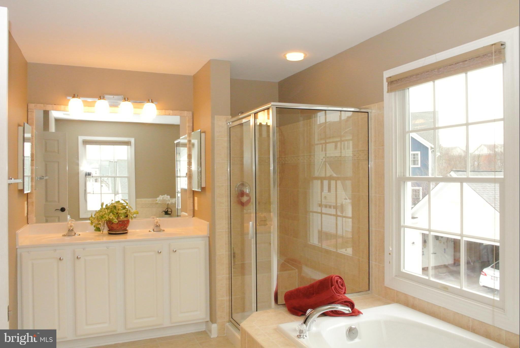 3901 Addison Woods Road Frederick, MD 21704 - Photo 13 of 30 Bath (Master)