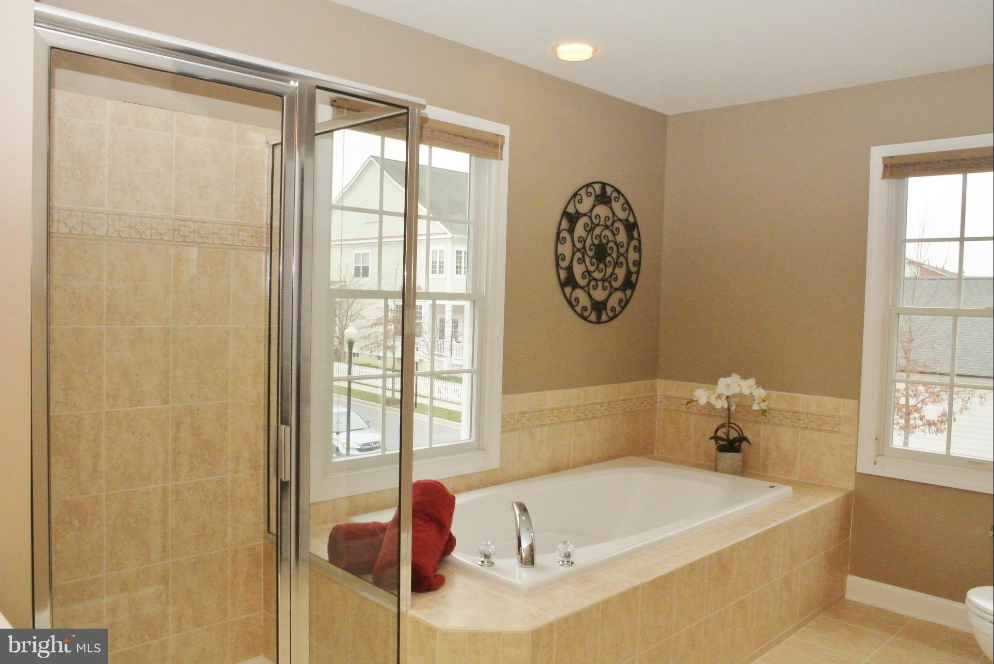 3901 Addison Woods Road Frederick, MD 21704 - Photo 14 of 30 Bath (Master)