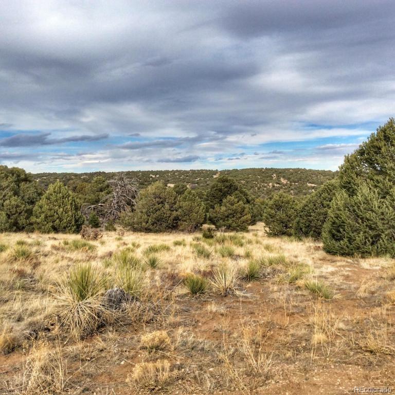 19 Navajo Ranch Walsenburg, CO 81089 - Photo 3 of 7 Gallery Image 3