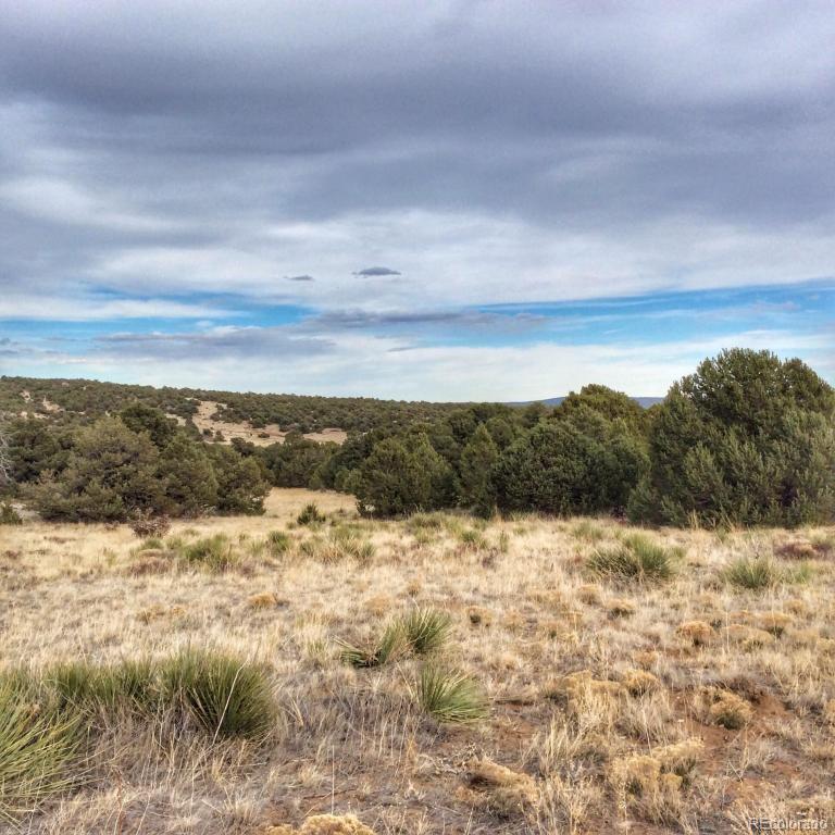 19 Navajo Ranch Walsenburg, CO 81089 - Photo 6 of 7 Gallery Image 6
