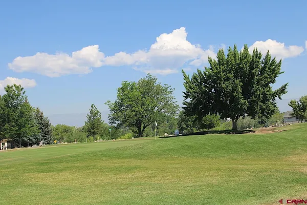 $429,300 | 950 Southeast Deer Creek Drive, Cedaredge, CO 81413