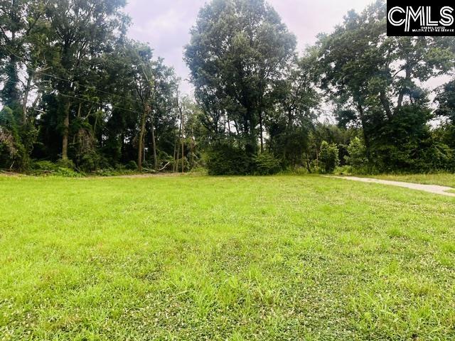 1161 Tom Moore Road Leesville, SC 29070 - Photo 3 of 8