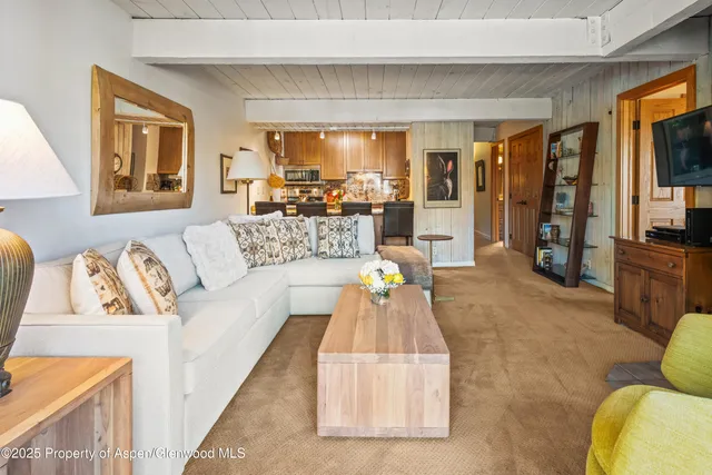 $3,275,000 | 131 East Durant Avenue, Unit 202, Aspen, CO 81611