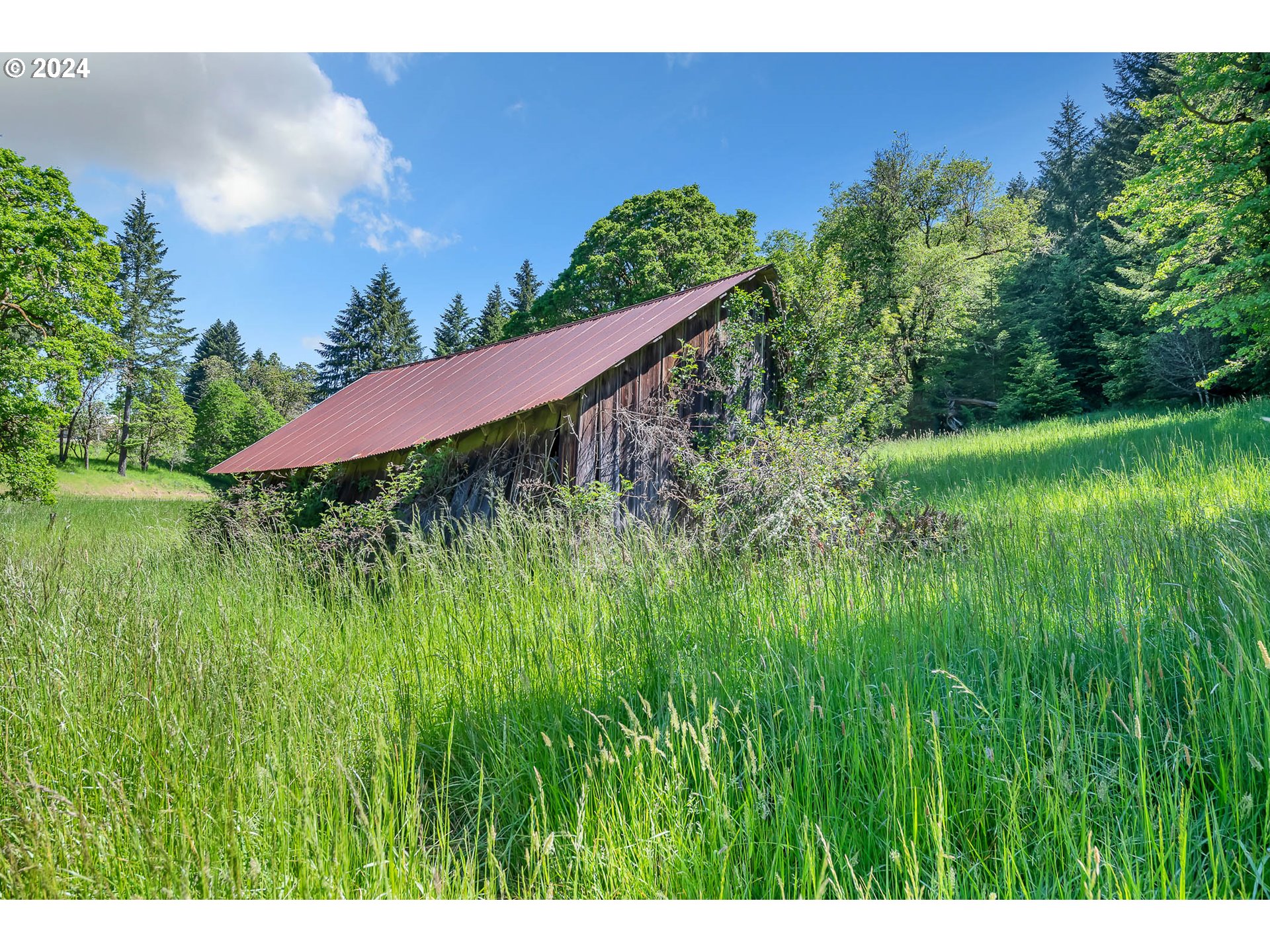 Central Road Eugene, OR 97402 - Photo 19 of 35 Gallery Image 19